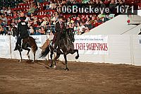 06buckeye_1671 proof