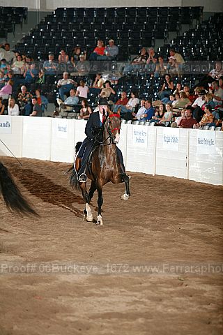 Proof 06buckeye_1672