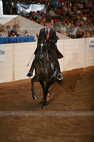 Proof 06buckeye_1673