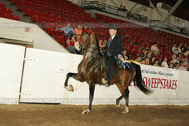 Proof 06buckeye_1675