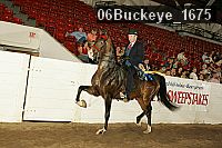 06buckeye_1675 proof