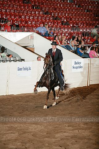 Proof 06buckeye_1676