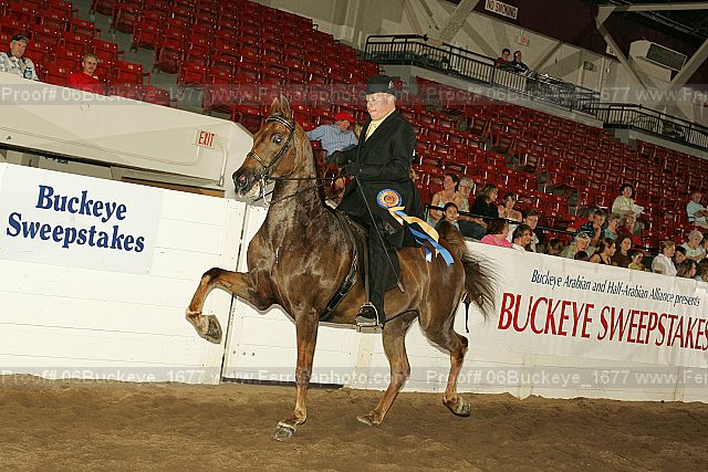 Proof 06buckeye_1677
