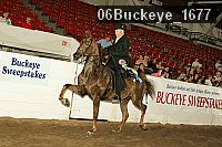 06buckeye_1677 proof