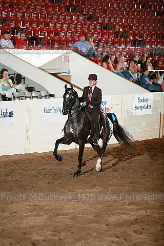 Proof 06buckeye_1679