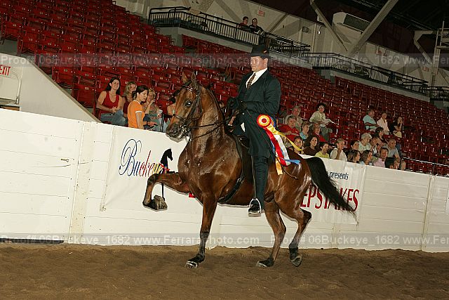 Proof 06buckeye_1682
