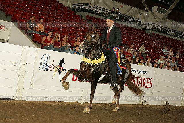 Proof 06buckeye_1685