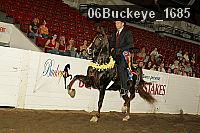 06buckeye_1685 proof