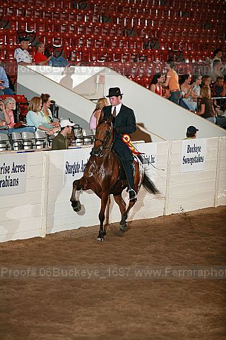Proof 06buckeye_1687