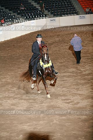 Proof 06buckeye_1689