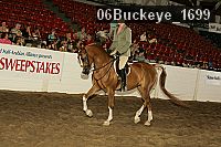 06buckeye_1699 proof