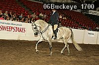 06buckeye_1700 proof