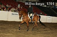 06buckeye_1701 proof