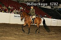 06buckeye_1702 proof