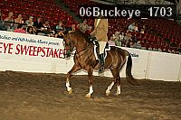06buckeye_1703 proof