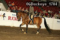 06buckeye_1704 proof