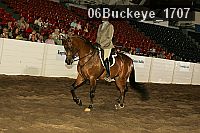 06buckeye_1707 proof