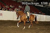 06buckeye_1708 proof