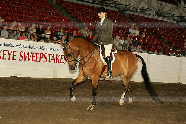 Proof 06buckeye_1709