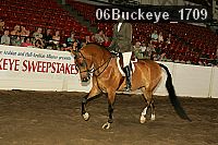 06buckeye_1709 proof