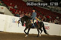 06buckeye_1718 proof