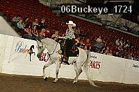 06buckeye_1724 proof