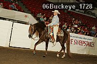 06buckeye_1728 proof