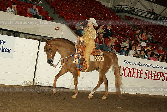 Proof 06buckeye_1729