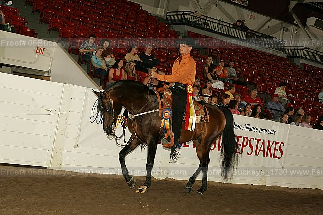 Proof 06buckeye_1730