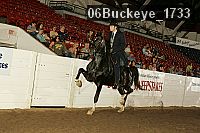 06buckeye_1733 proof