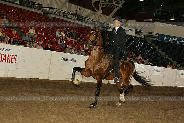 Proof 06buckeye_1734