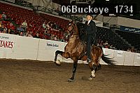 06buckeye_1734 proof