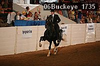 06buckeye_1735 proof