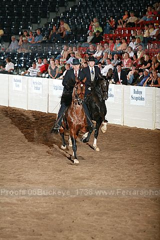 Proof 06buckeye_1736
