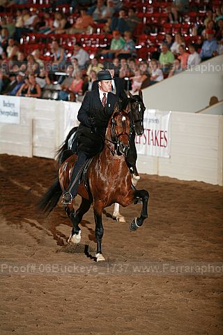Proof 06buckeye_1737