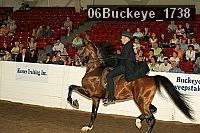 06buckeye_1738 proof