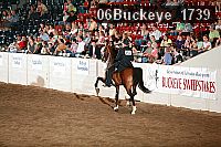06buckeye_1739 proof