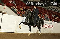 06buckeye_1740 proof