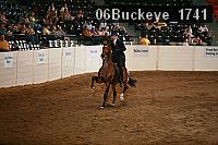 06buckeye_1741 proof