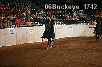 06buckeye_1742 proof