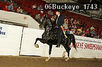 06buckeye_1743 proof