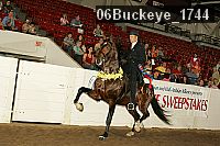 06buckeye_1744 proof