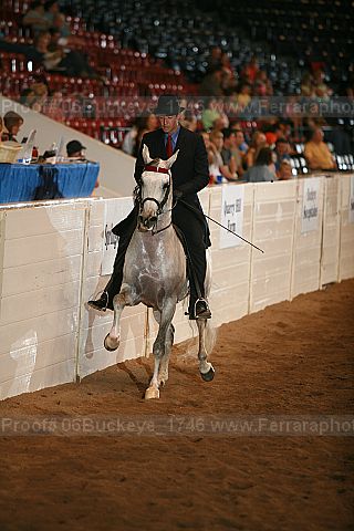 Proof 06buckeye_1746