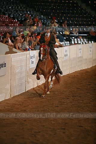 Proof 06buckeye_1747
