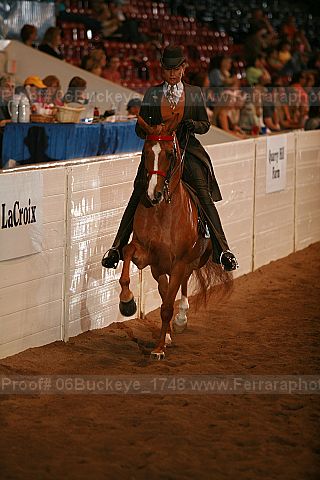 Proof 06buckeye_1748