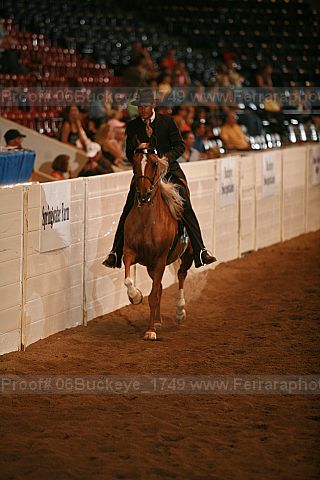 Proof 06buckeye_1749