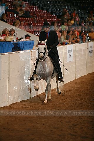 Proof 06buckeye_1750