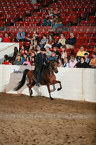 Proof 06buckeye_1751