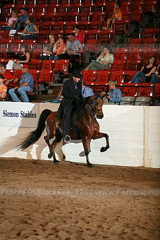 Proof 06buckeye_1752