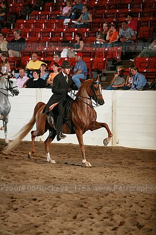 Proof 06buckeye_1753